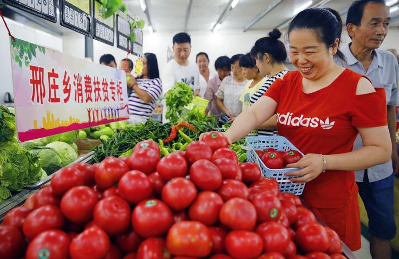 供应链行业风云变幻中的新趋势与挑战